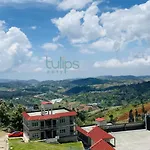 Tulips Village Resorts