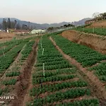 Varenya@Ooty