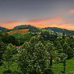 Hills Cottage- Annexe