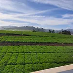 Browntreecottage