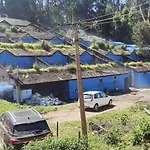Cat Villa Ooty
