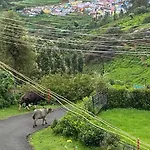 Bisons Retreat