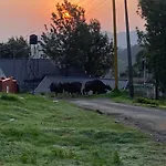 Bisons Retreat