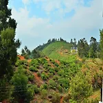 Estay Tiger Hills
