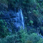 The Conerstayz