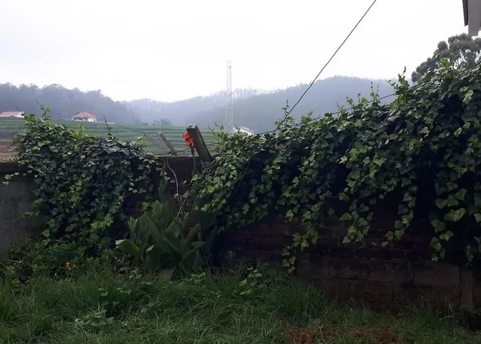 Classic Homestay Ooty