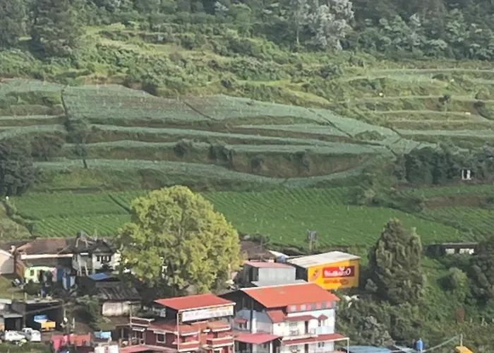Hill Resort - 2