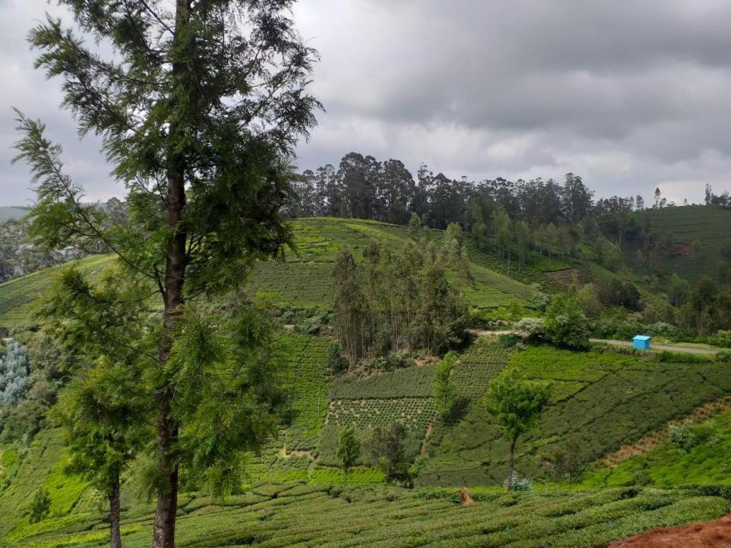 Campsite Janardan Tea Campsite Ooty