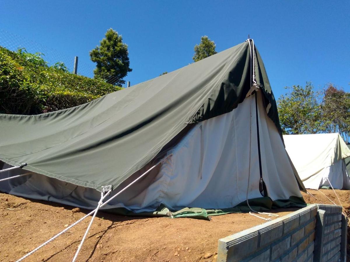 Janardan Tea Campsite Campsite *