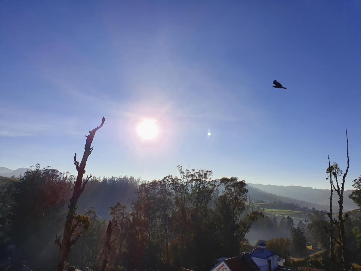 Pine Forest View Residency Homestay