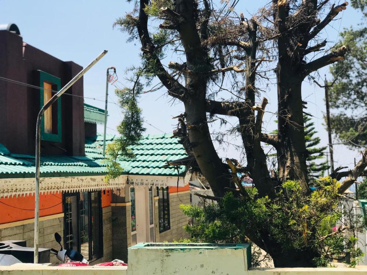 Mountain View Ooty