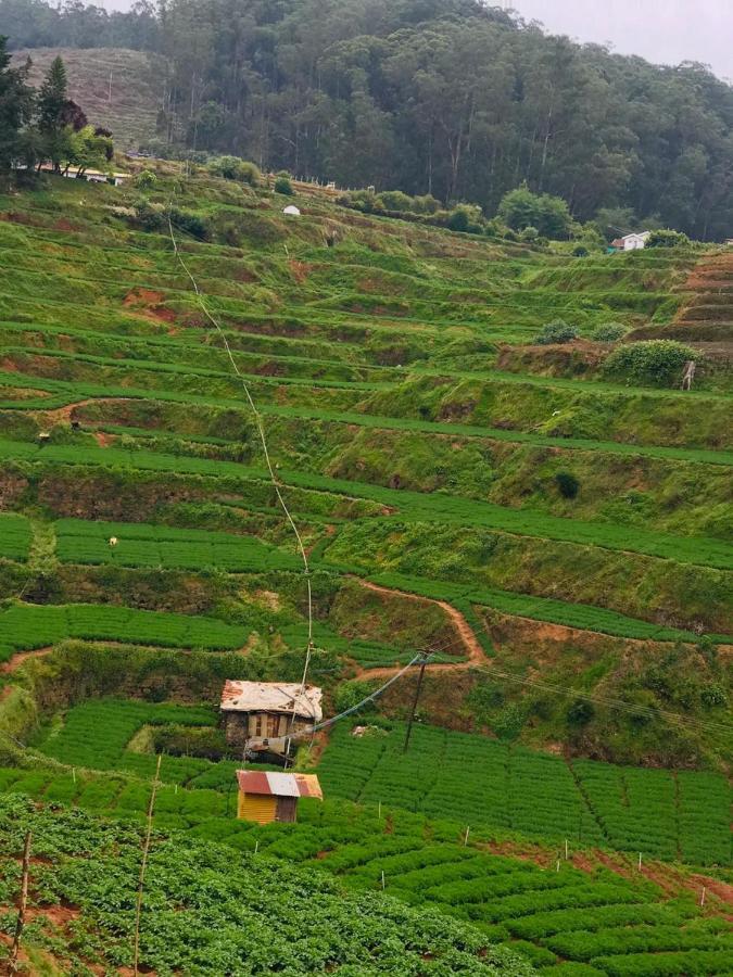 Mountain View Ooty