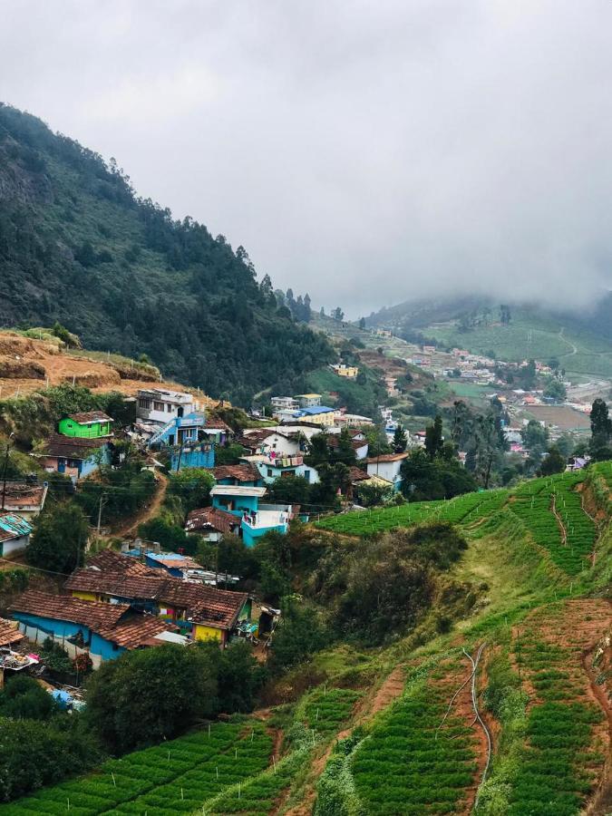 Mountain View *