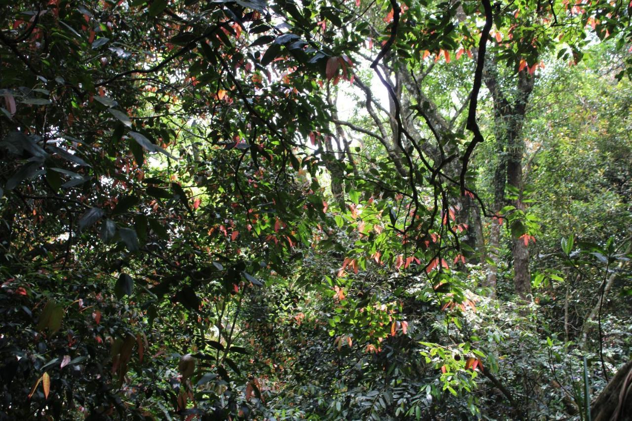 Hidden Heaven Guest house Coonoor