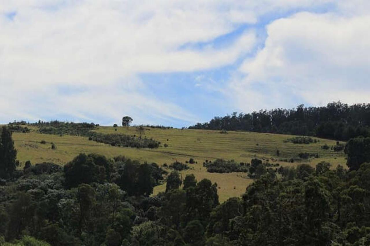 Blusalz Homes - One Lovedale, - Tamil Nadu Ooty