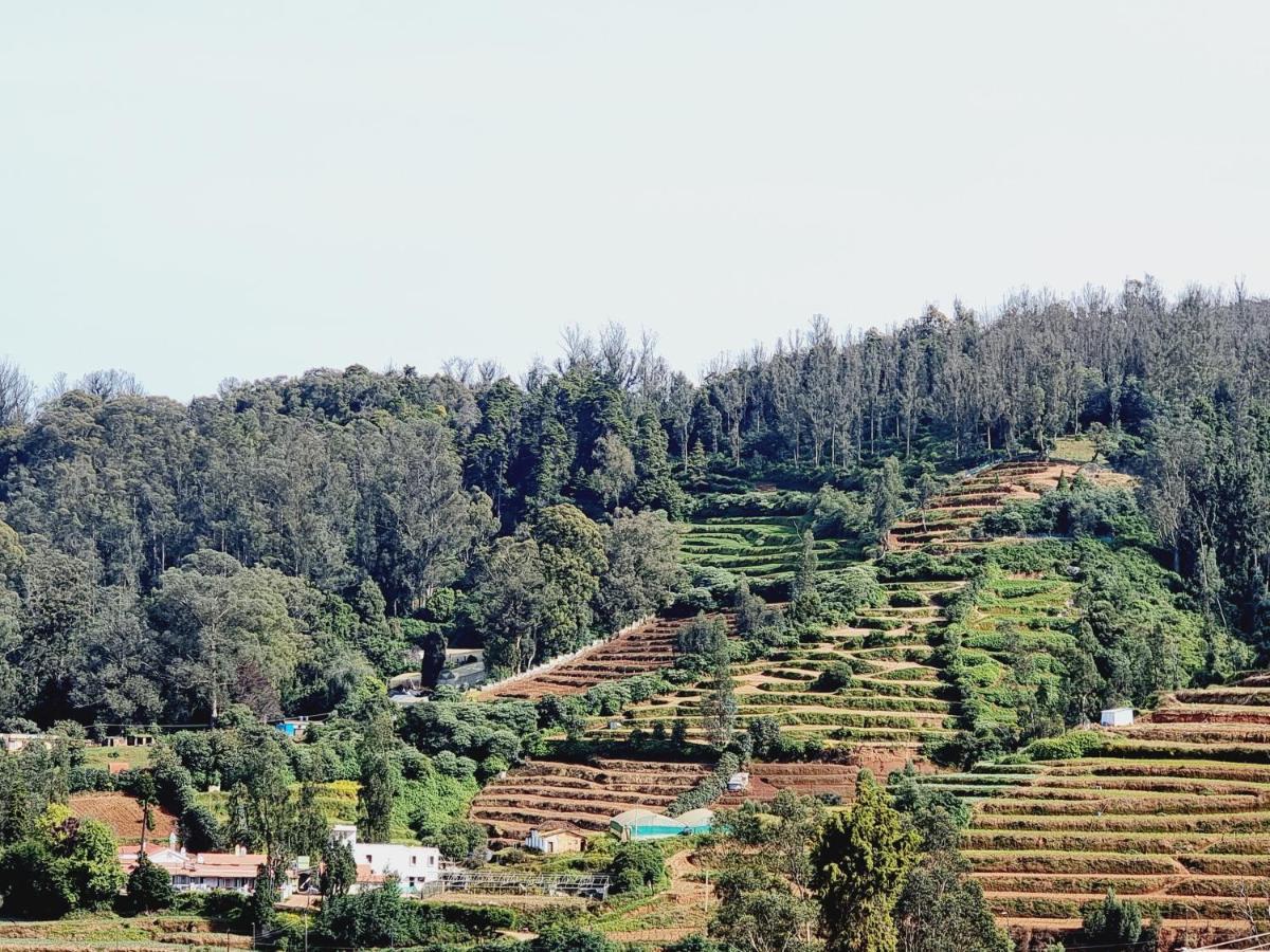 Homestay Haven Ooty