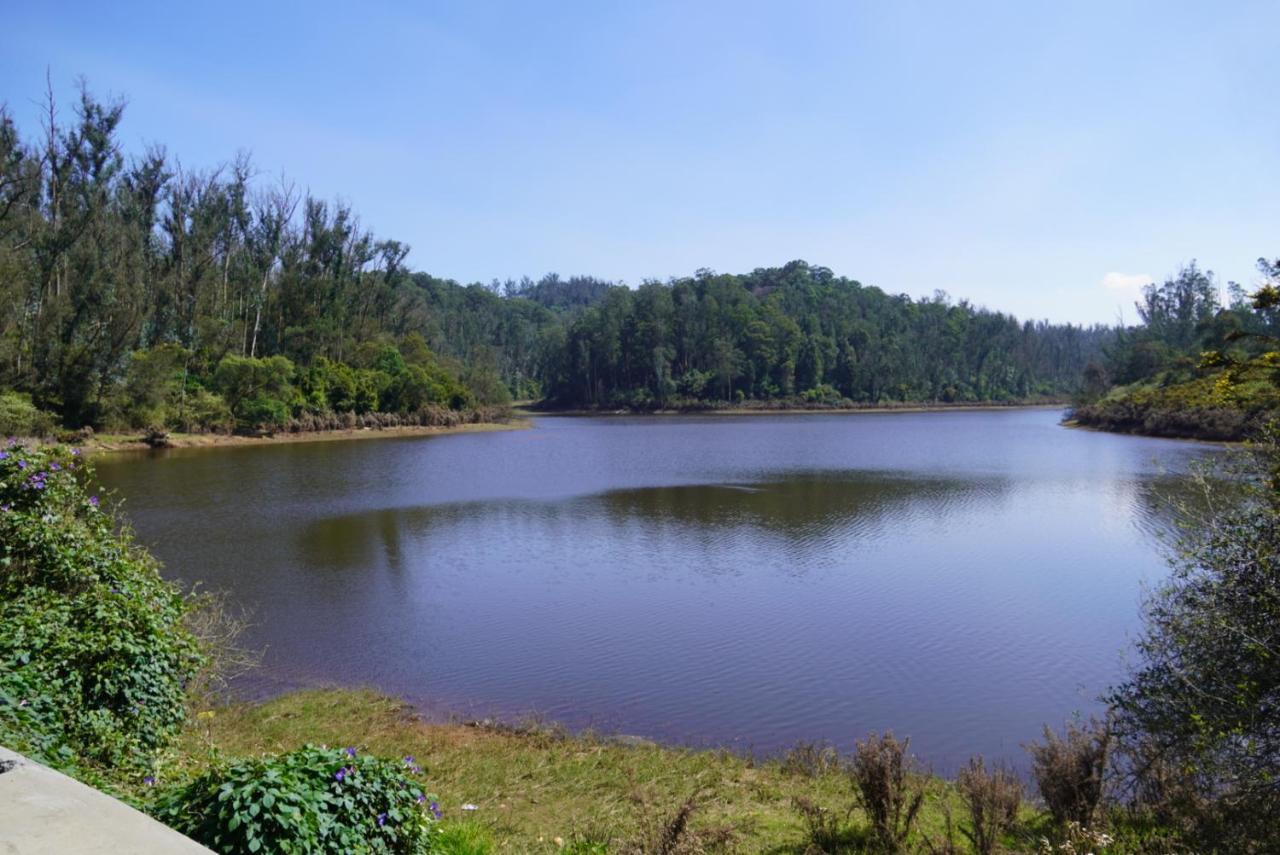 Acorn House * Ooty