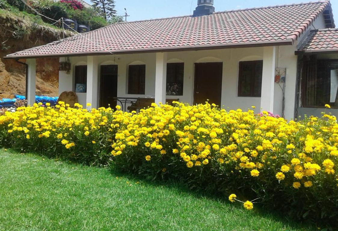 Norsu Holiday home Ooty