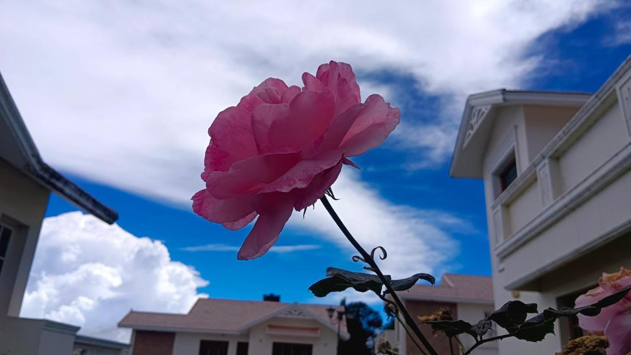 Bella Villa