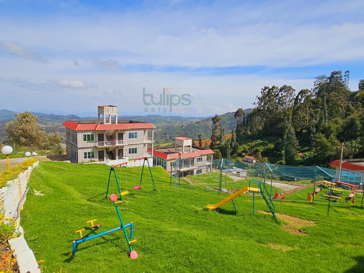 Tulips Village 3*