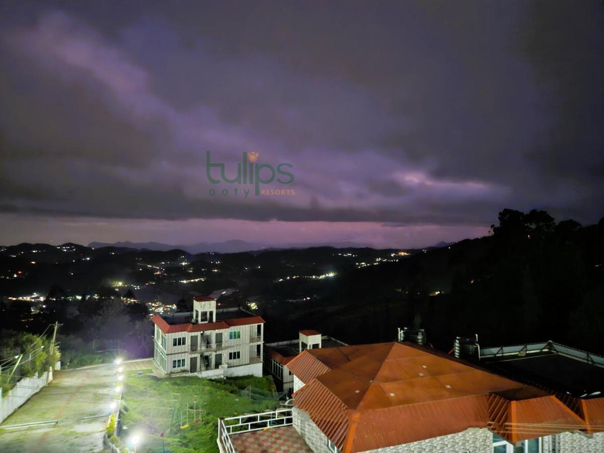 Tulips Village Resort 3*