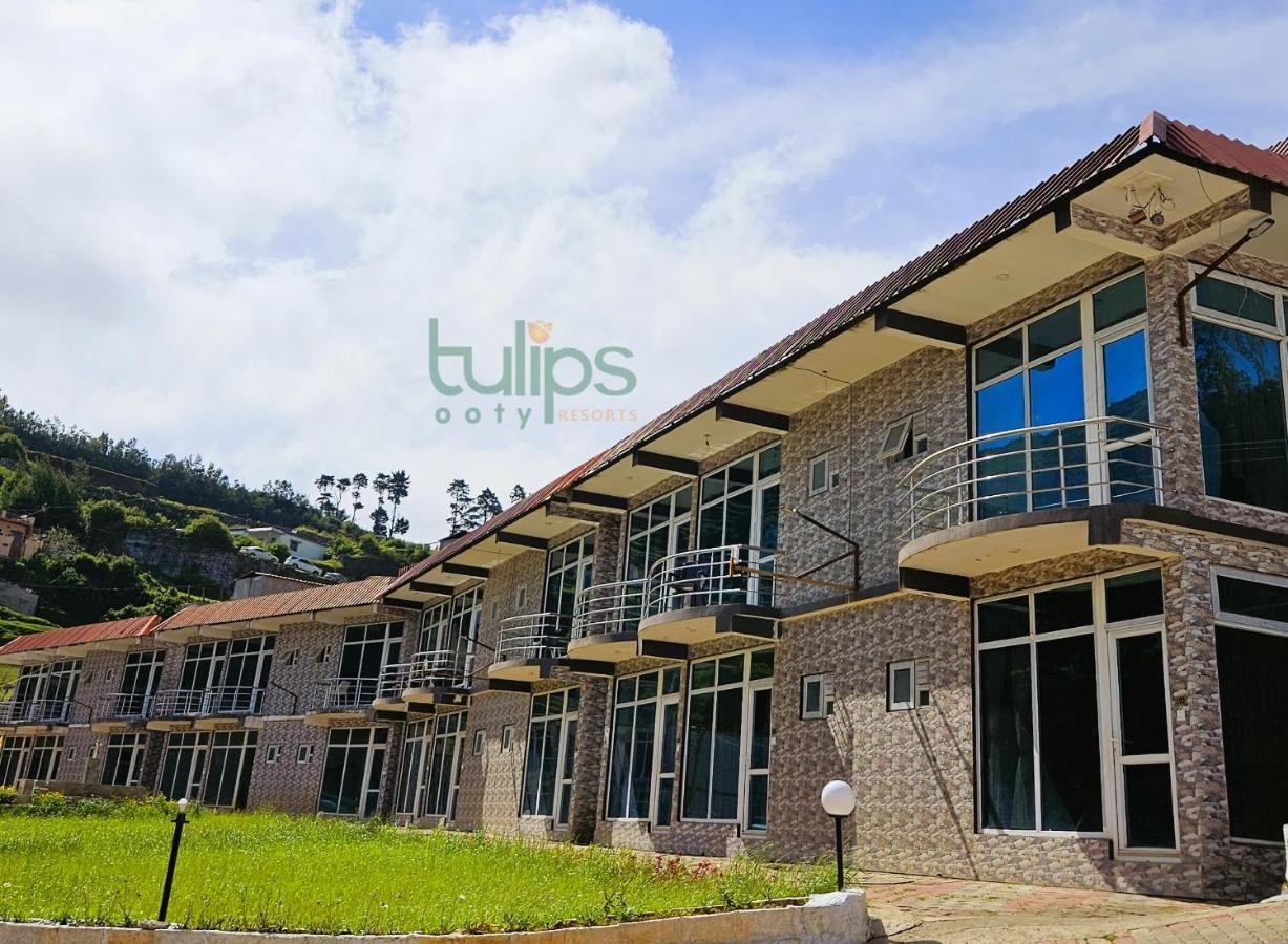 Tulips Village Resort Ooty