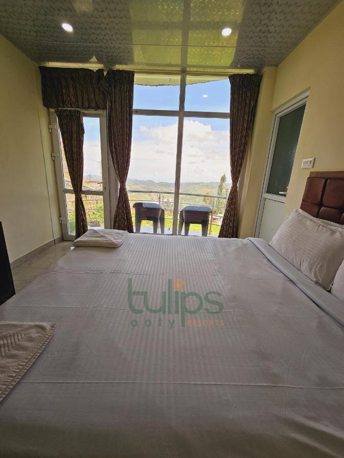 Tulips Village 3*