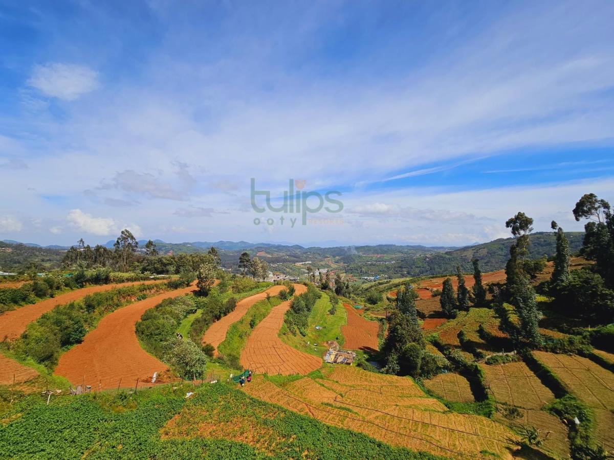 Tulips Village Ooty