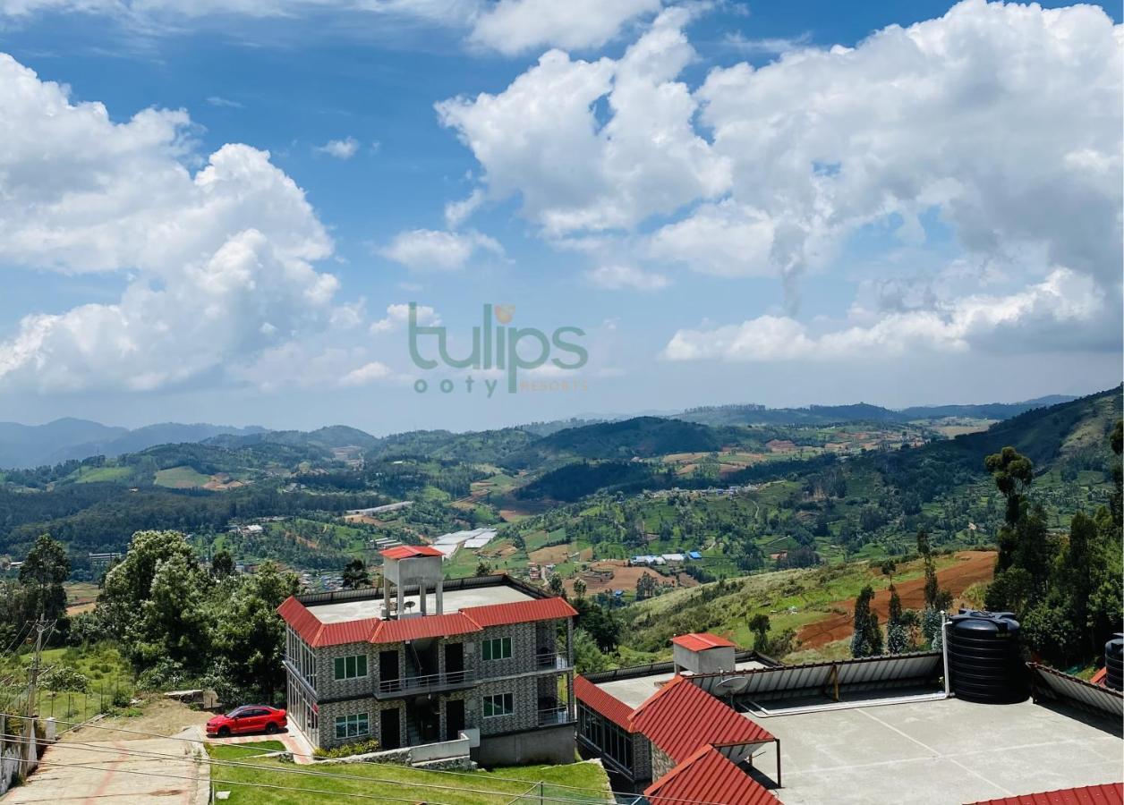 Tulips Village 3*