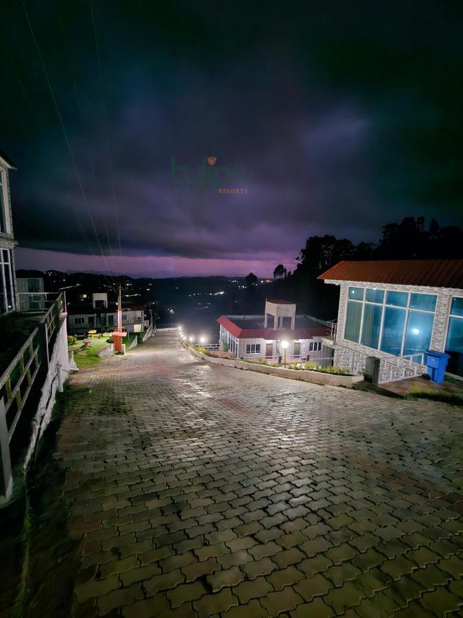 Resort Tulips Village Ooty