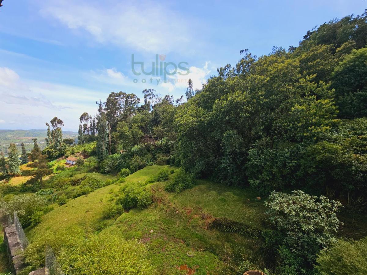 Tulips Village Resort 3*
