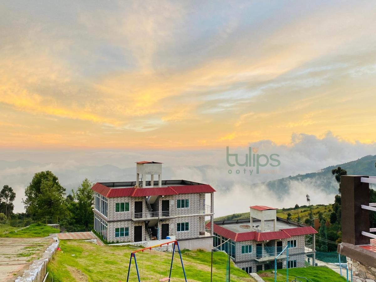 Tulips Village 3* Ooty