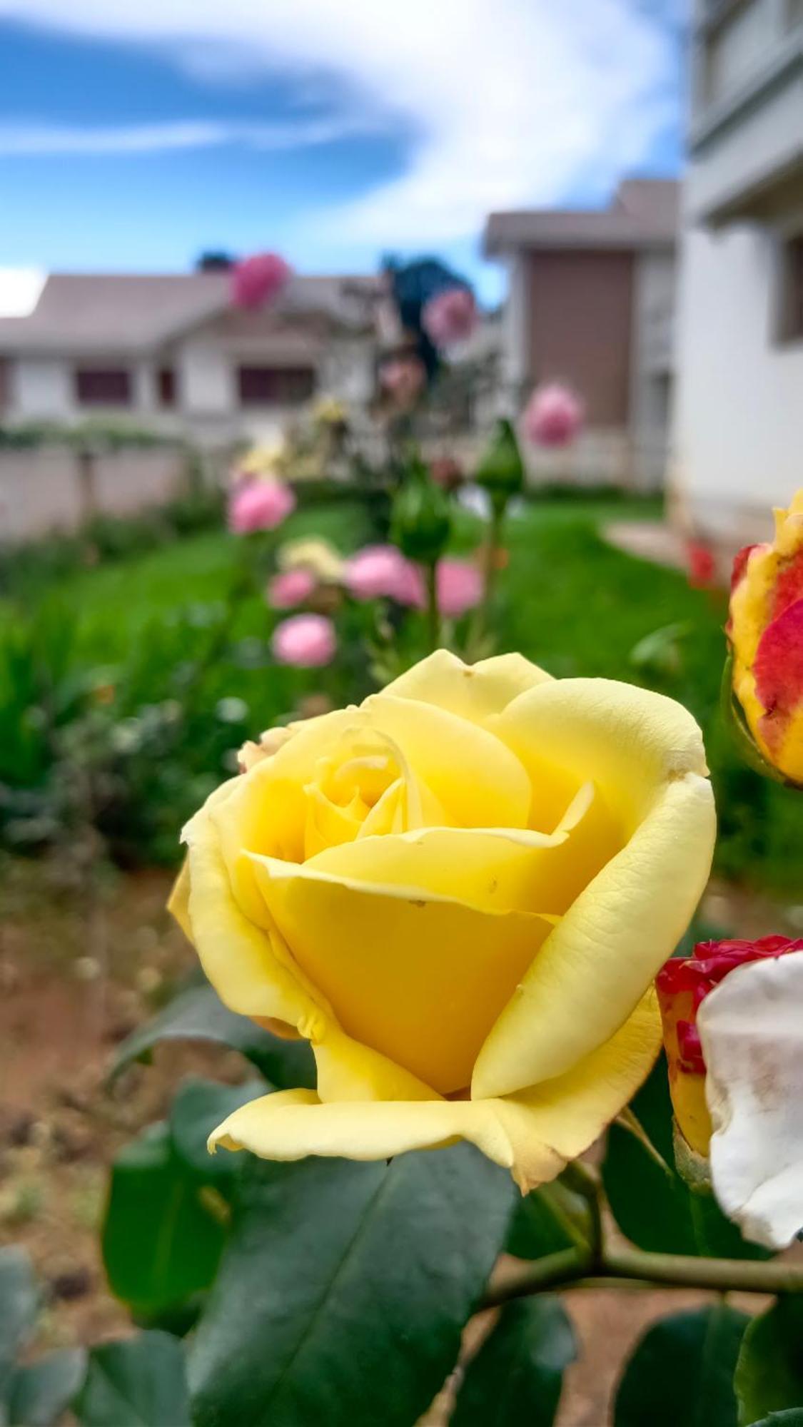 Bella Villa Ooty