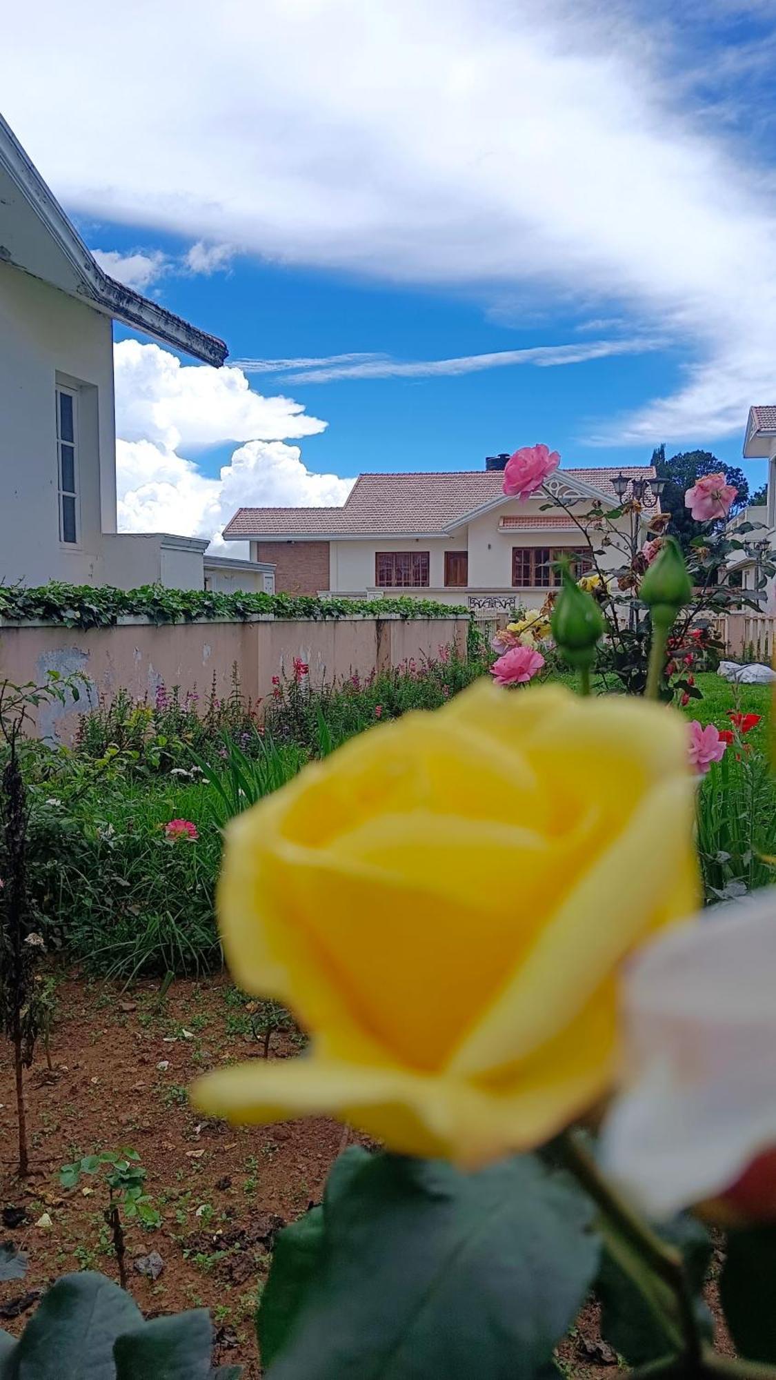 Villa Bella Ooty