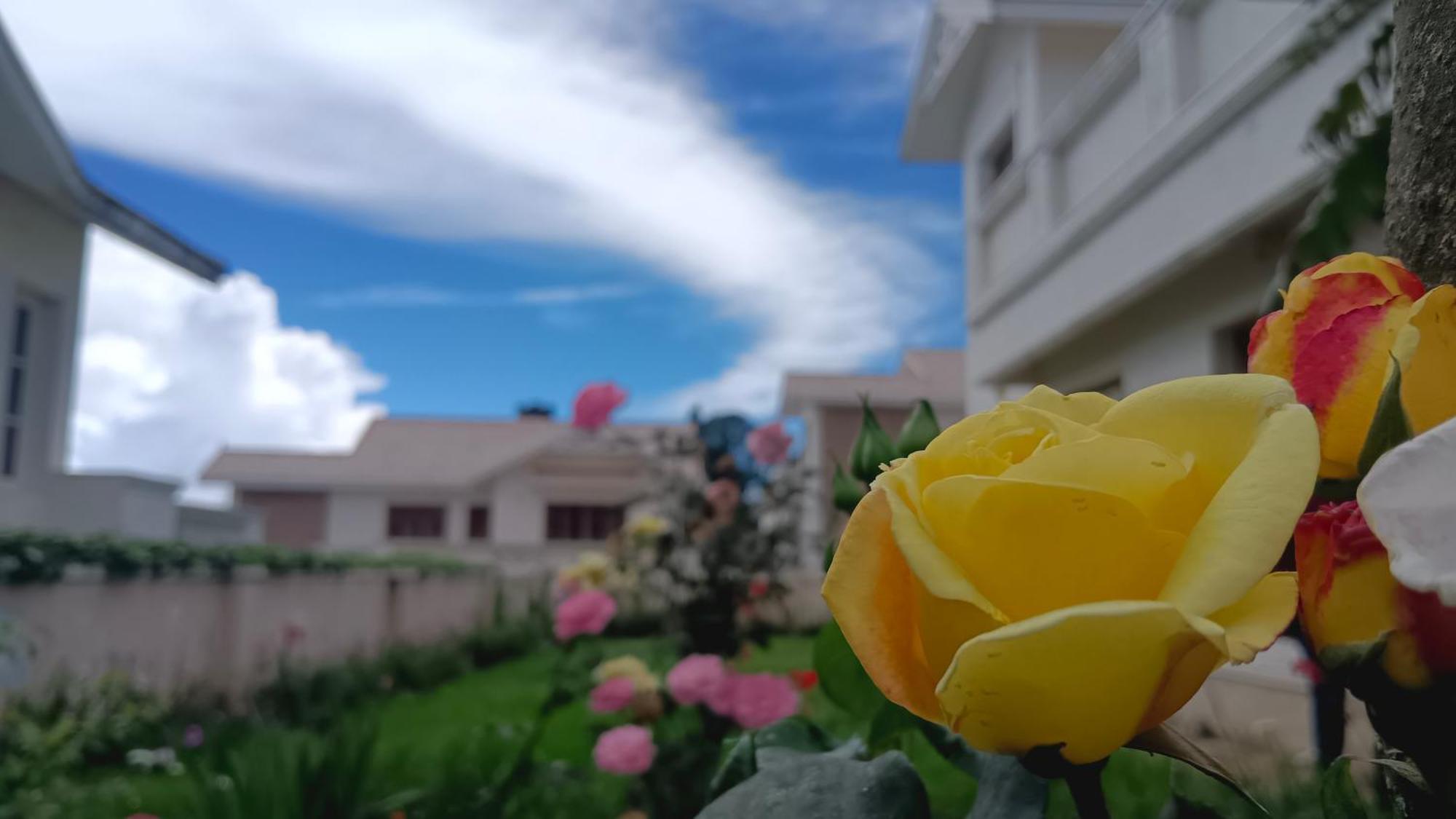 Bella * Ooty