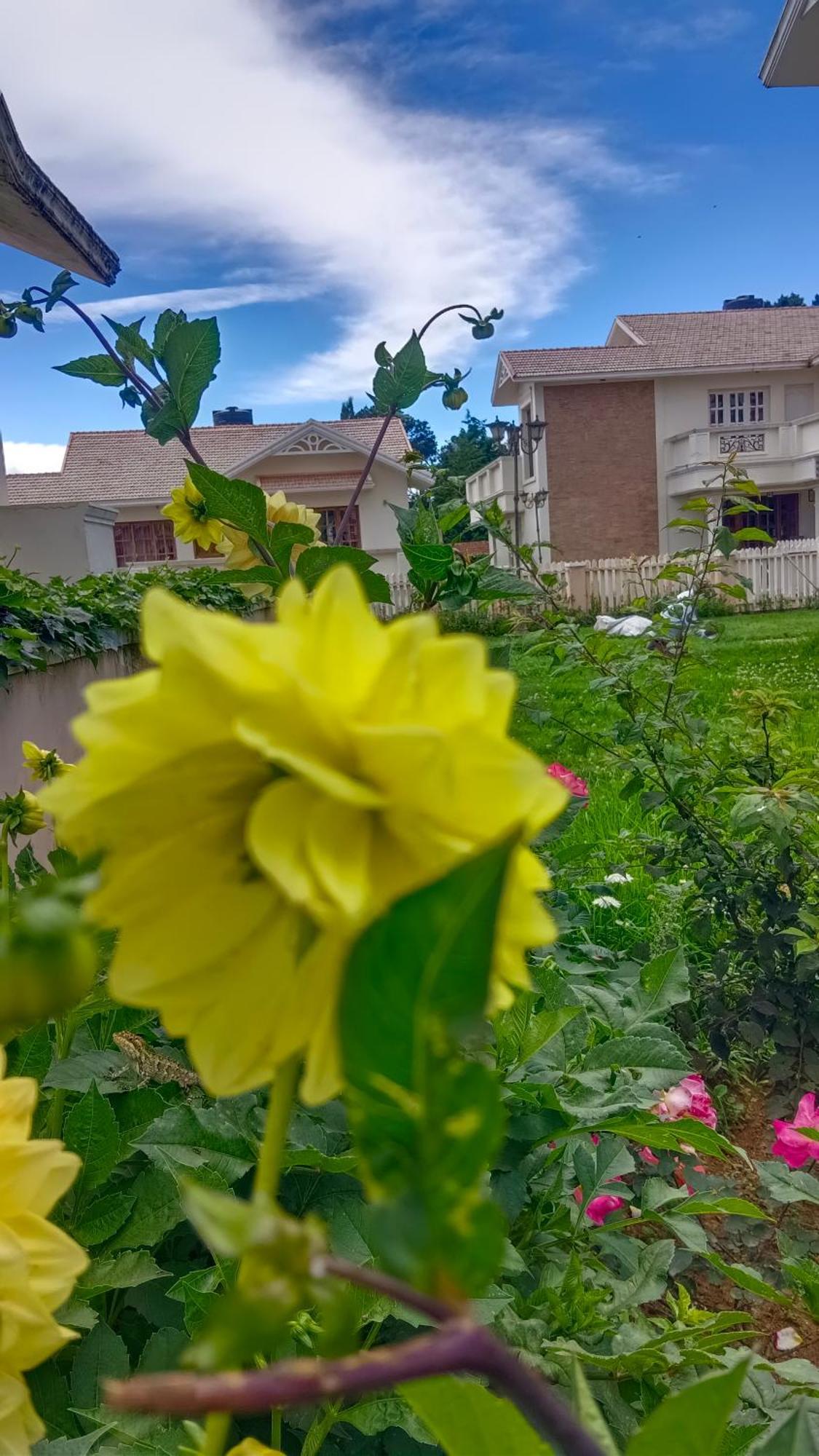 Villa Bella *