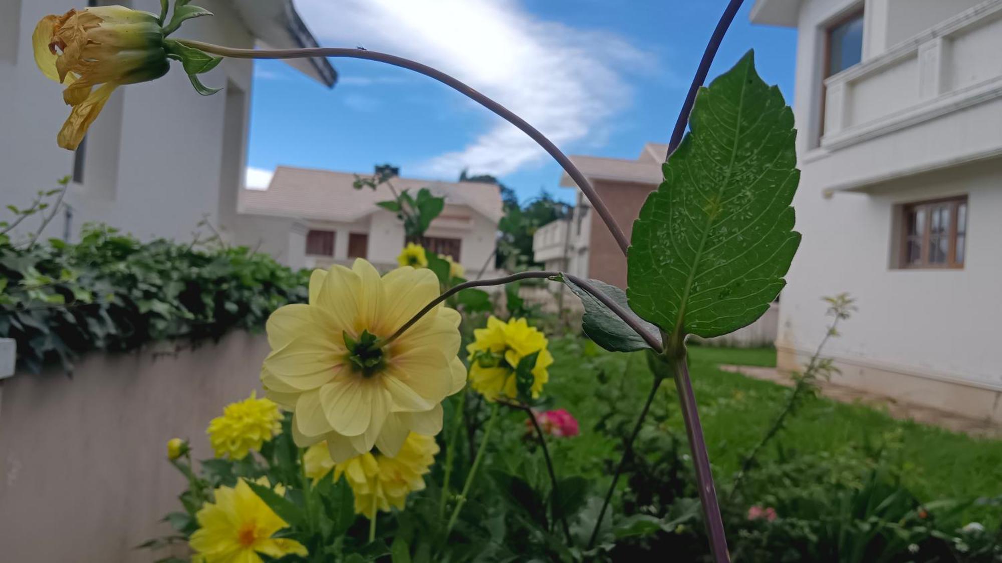 Villa Bella Ooty