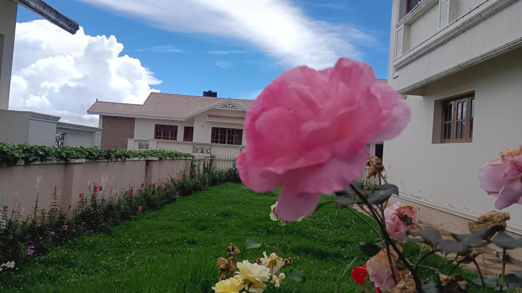 Bella * Ooty