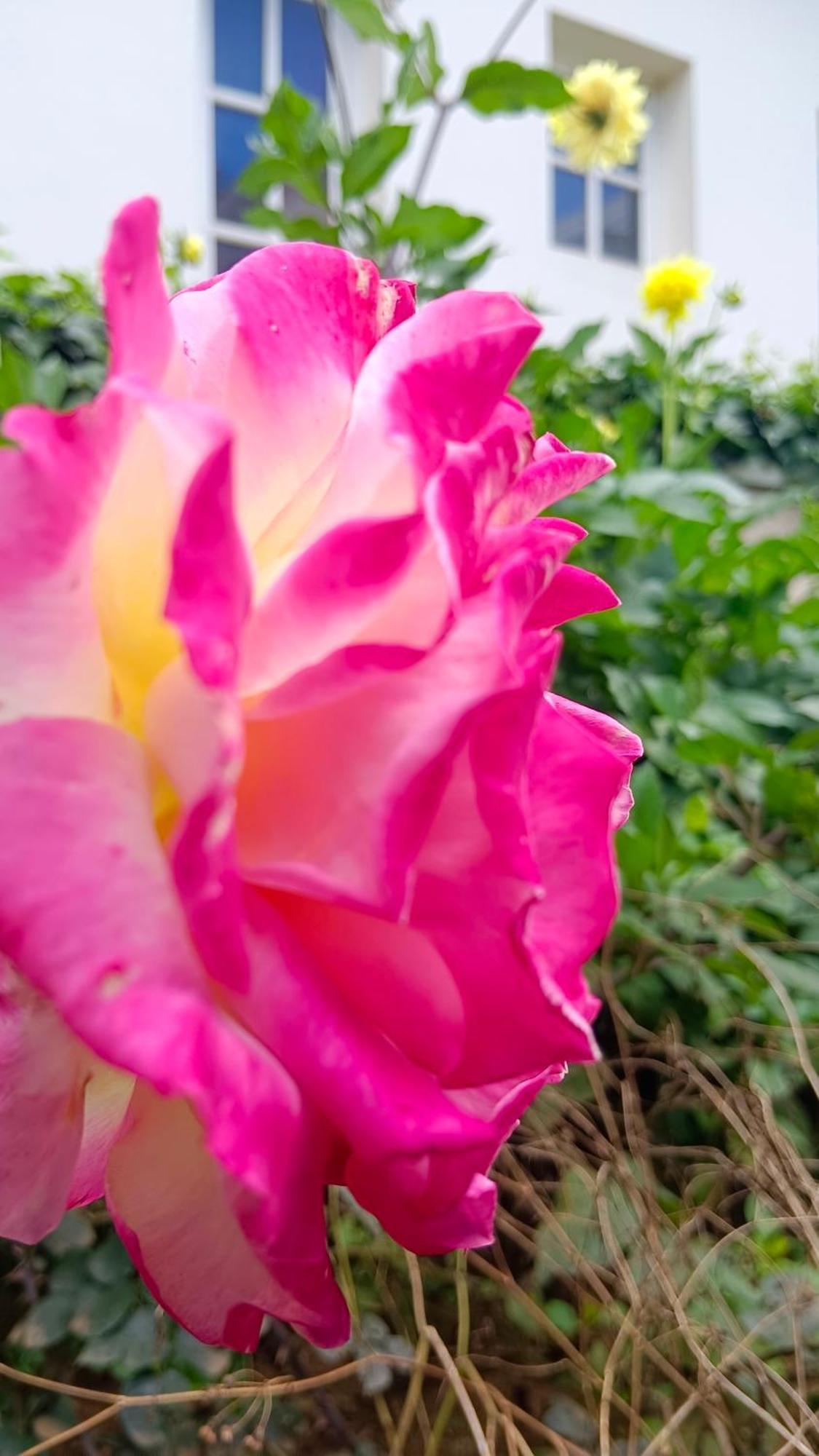 Bella Villa Ooty