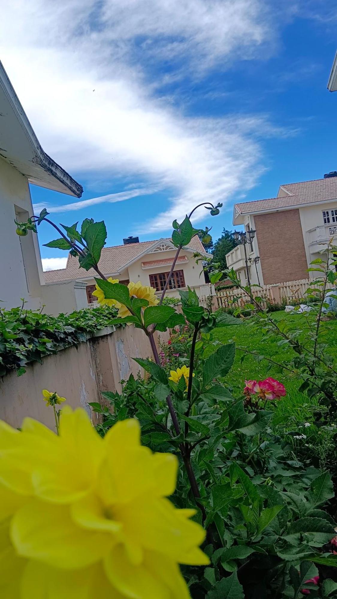 Bella Villa *