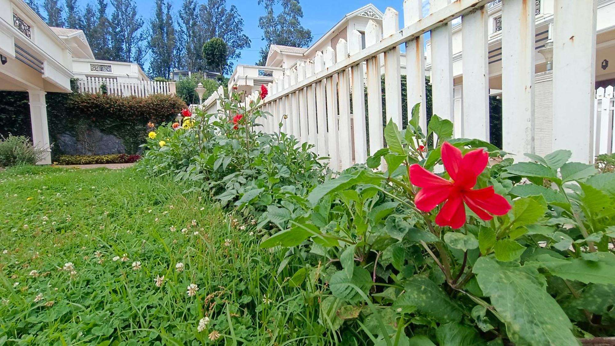 Bella Villa