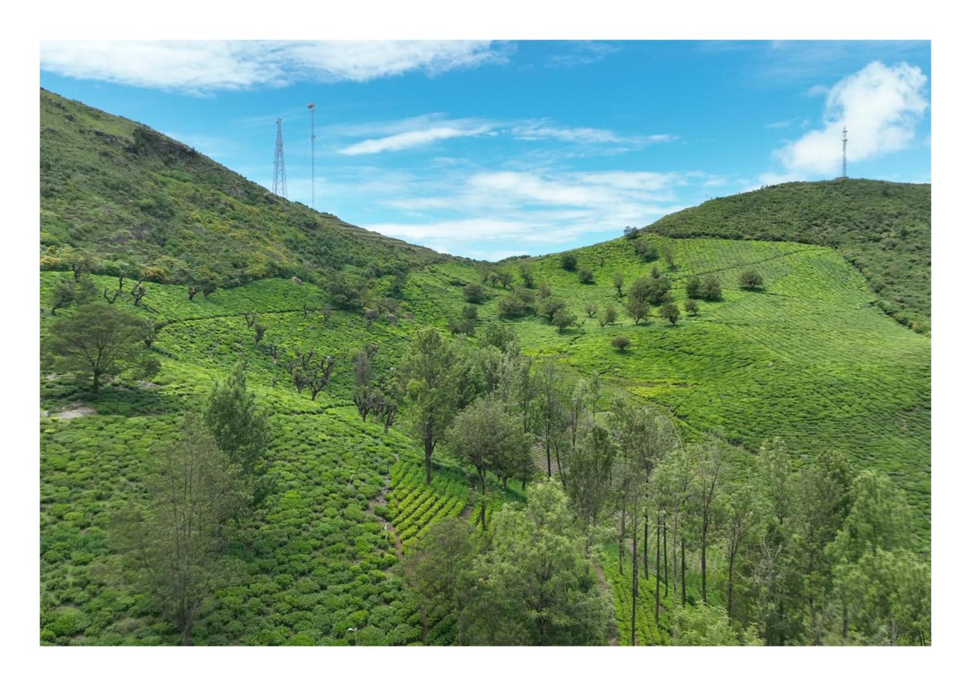 Fortune Retreats Ooty