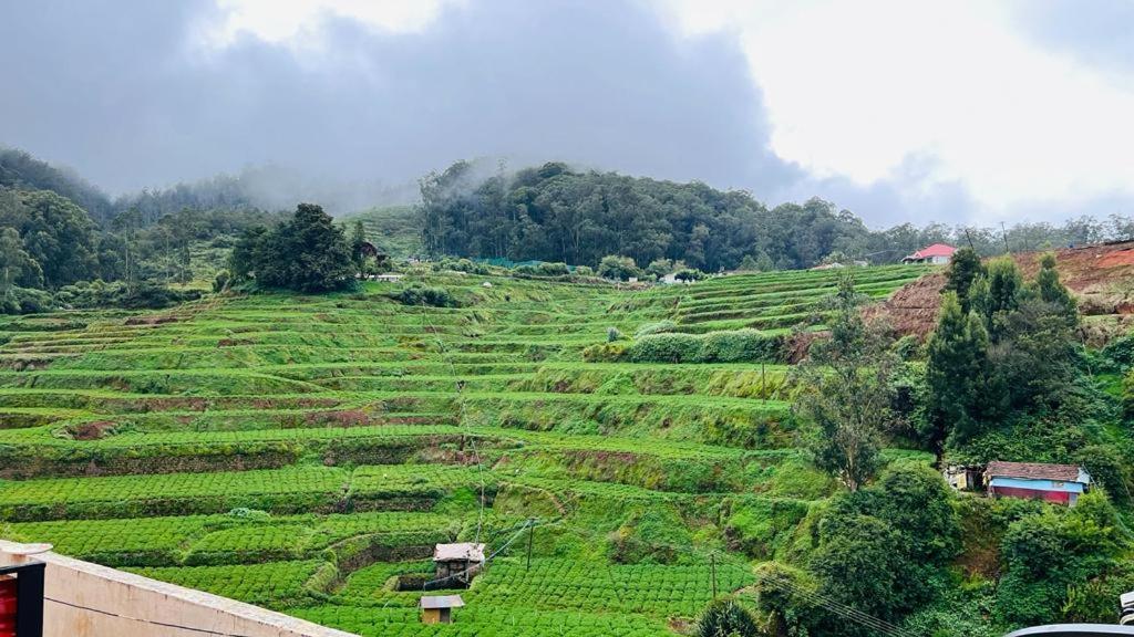 Resort Mountain View Ooty