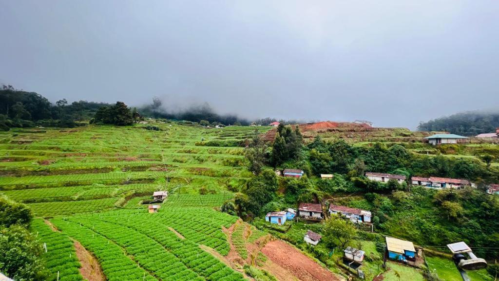 Mountain View Ooty