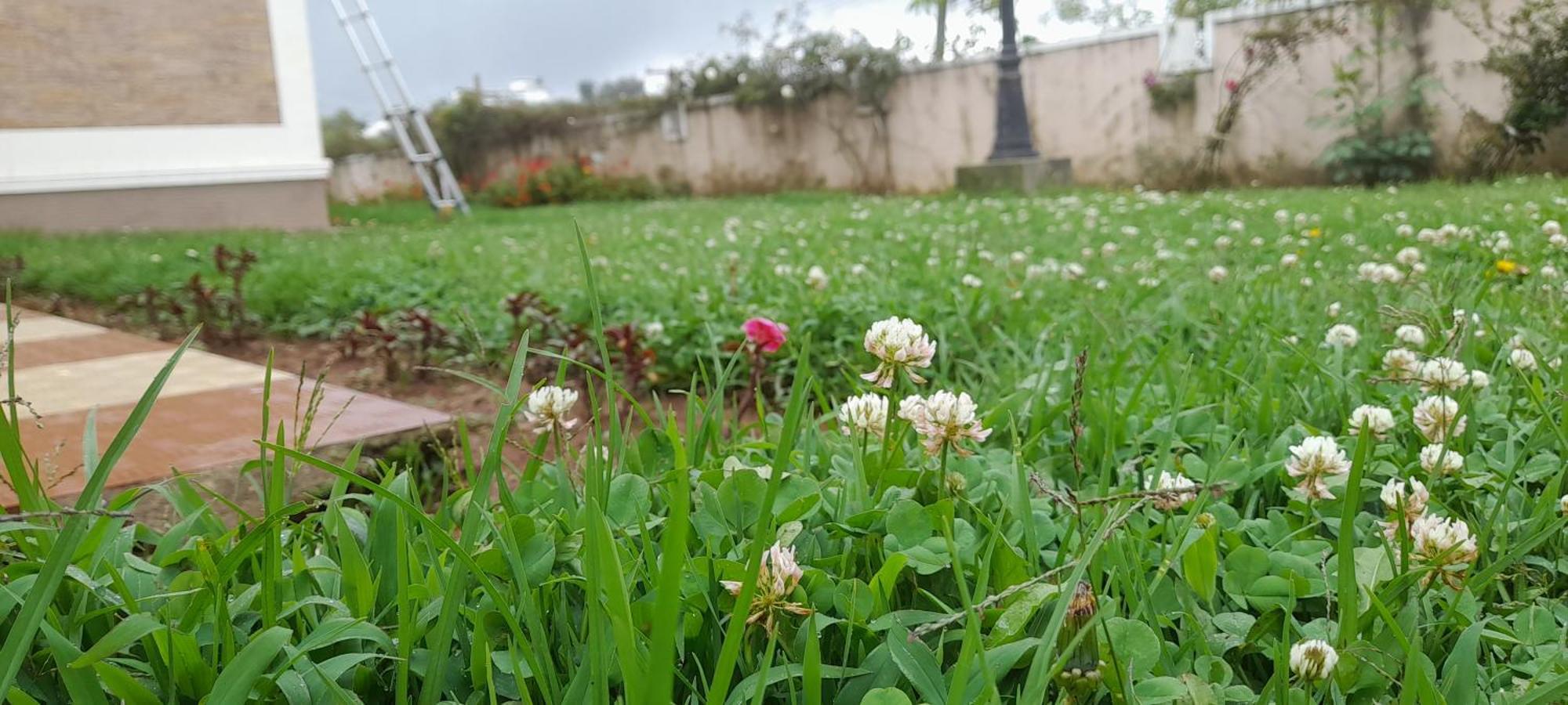 Villa Bella Ooty