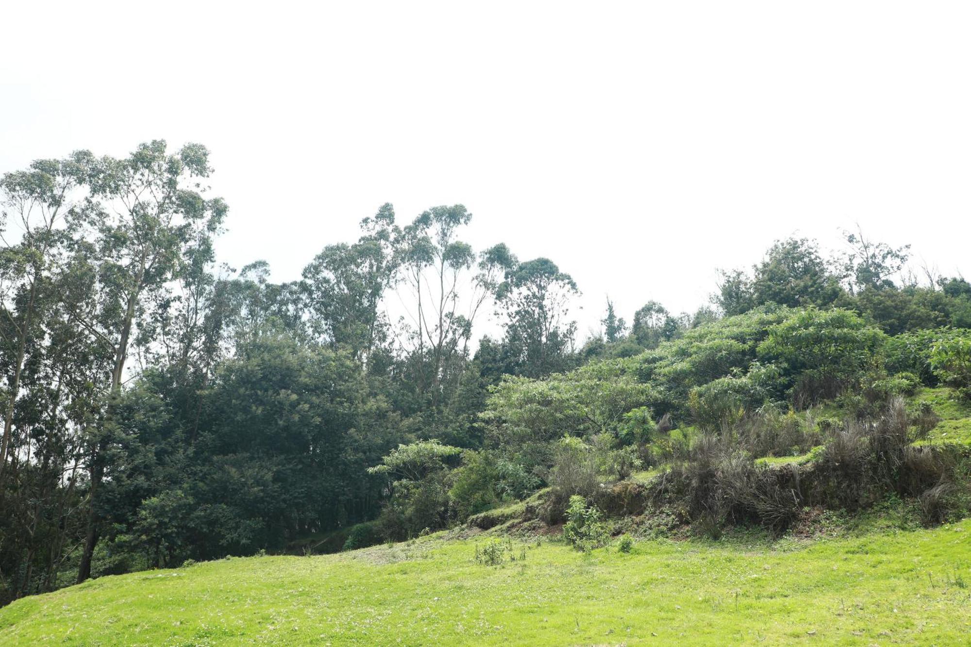Homestay Dreams Ooty