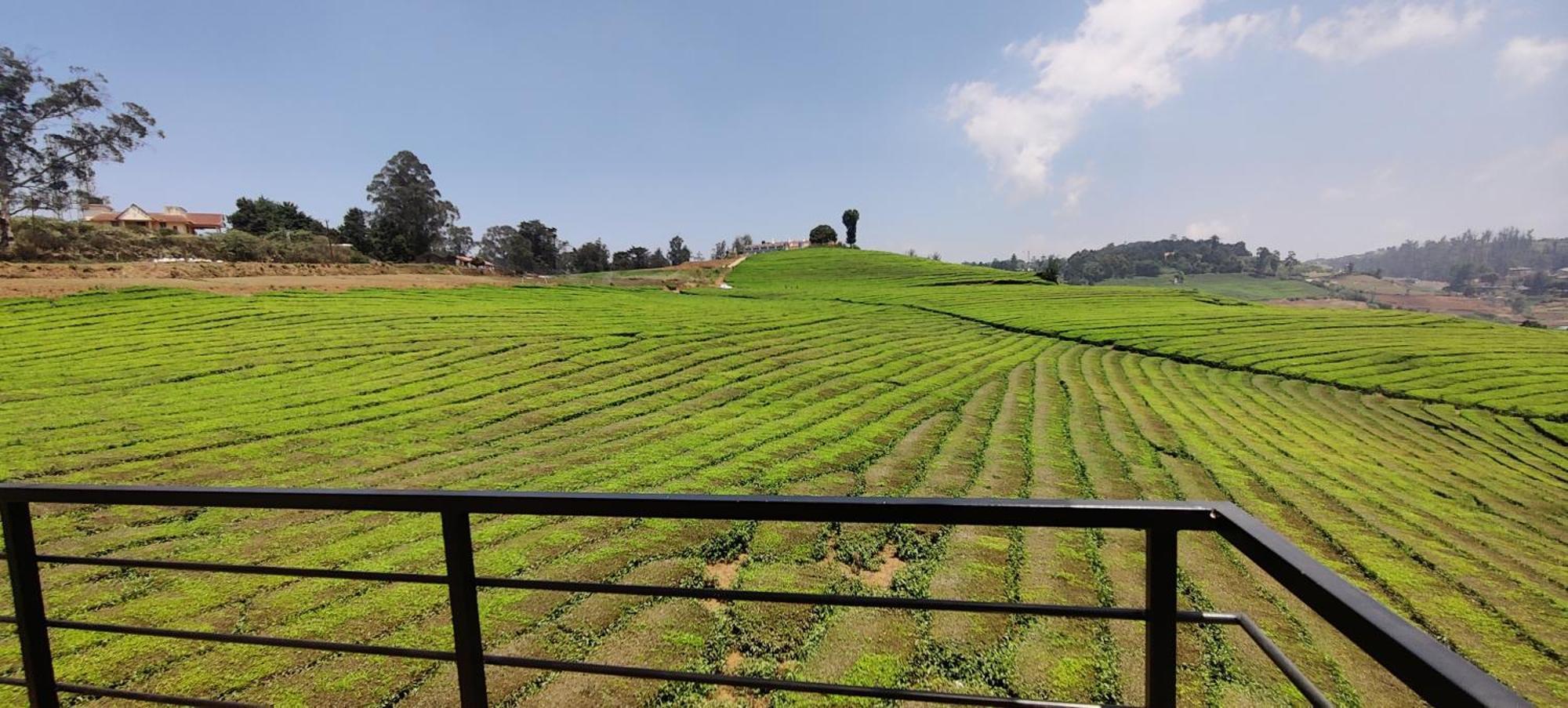 Bed & Breakfast Rose Garden Enclave For Families & Executives Ooty