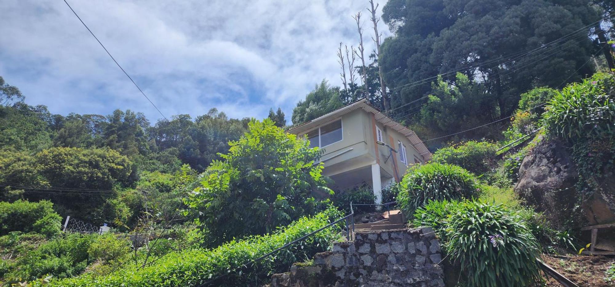 Heath Cote * Ooty