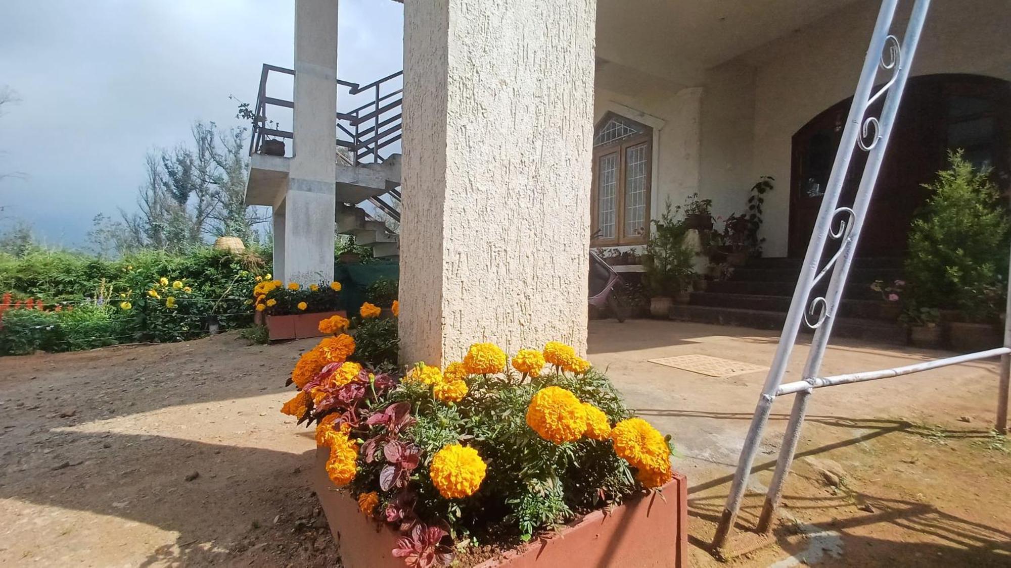 Anya Paradise Bed & Breakfast Ooty