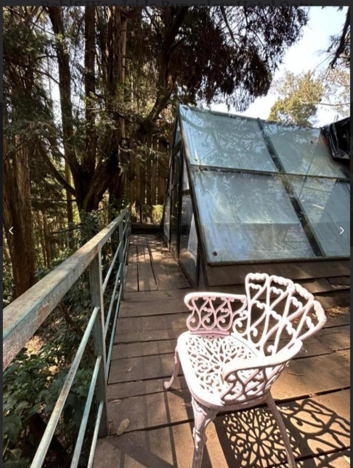 Homestay Shami's Woodside Ooty